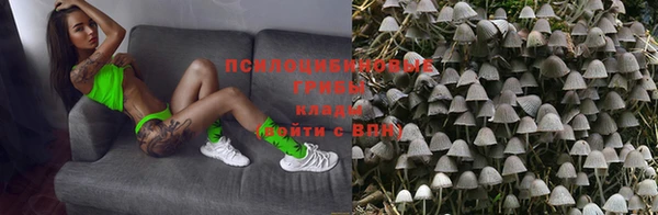 кокс Аркадак
