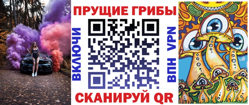 где можно купить наркотик  Приморск  Псилоцибиновые грибы Cubensis 